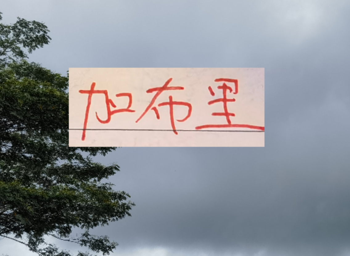 是走还是留？ 海港加布里埃尔国内跟国外说法不一样